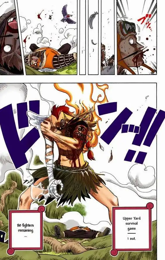 One Piece - Digital Colored Comics Chapter 256 21